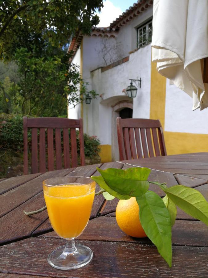 Quinta Do Rio Touro Bed and Breakfast Azoia  Buitenkant foto